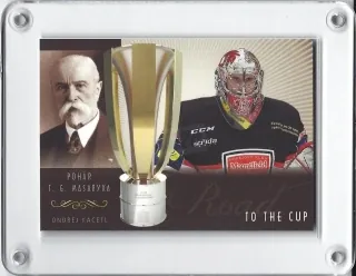 Kacetl Ondřej OFS Masked 2013-14 Road to the Cup xx/80 č.17